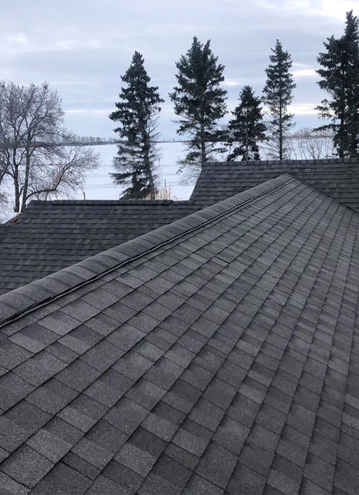 RDI Roofing company